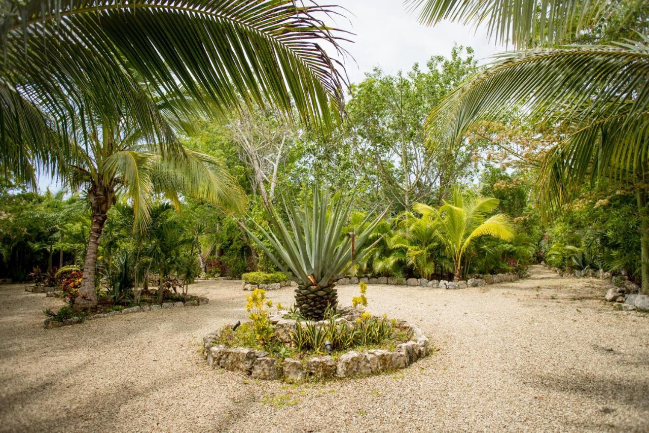 Aldea Jo-Yah Vila Tulum Exterior foto